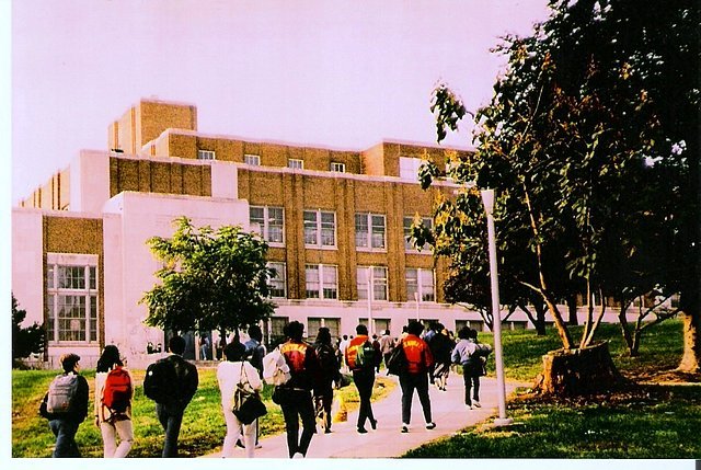 Morning Arrival, North Walk, Fall 1984