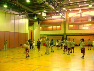 The New Gym