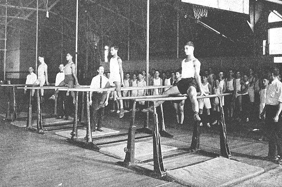 The Parallel Bars in Physical Education Class