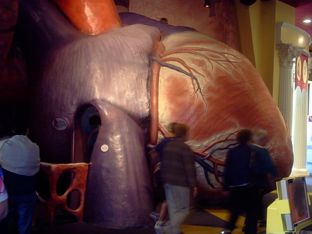 The Heart, Franklin Museum of Science