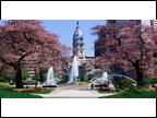 Philly 3