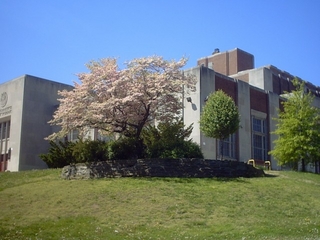 CHS North Lawn