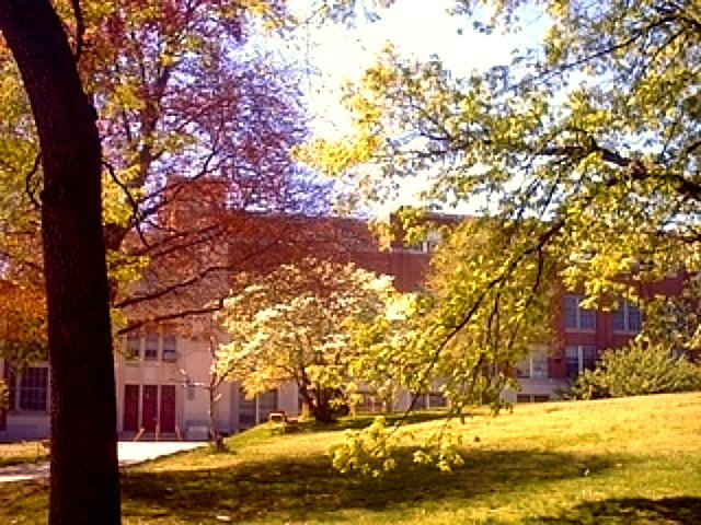 Central Front Entrance 2